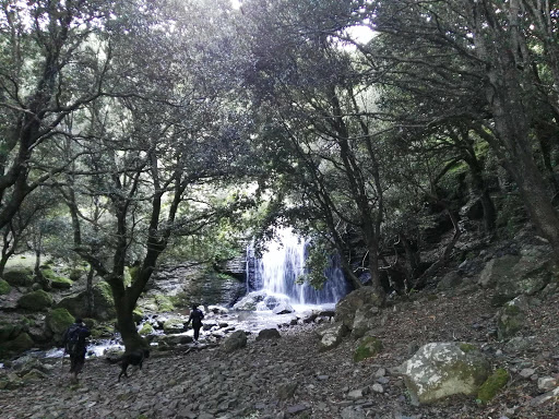Cascata del Rio Is Alonis Logo