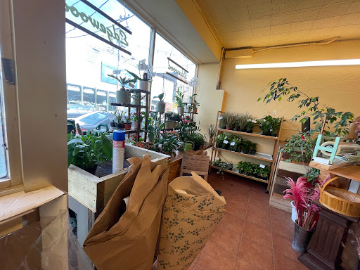 Edgewood Florist - Thumbnail