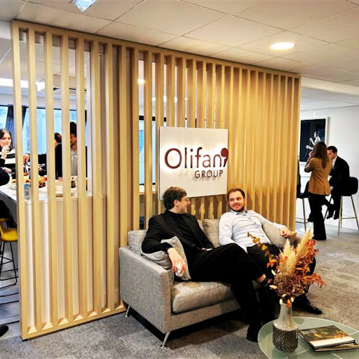 Olifan Group Paris (Anciennement Verney Conseil)