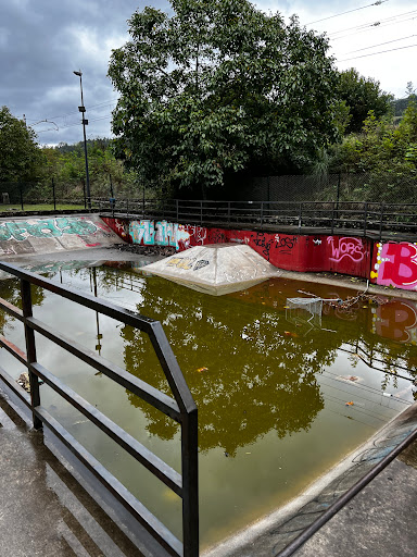 Skate Park de Somahoz