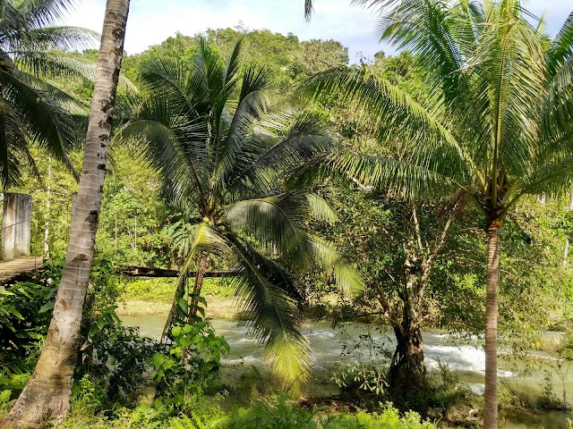 Pangas Falls