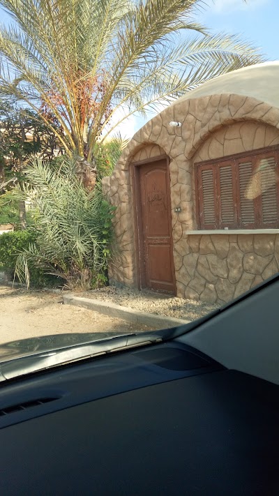 Photos of الواحة فكر واعمل