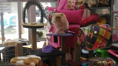 Photos of Hop Petshop