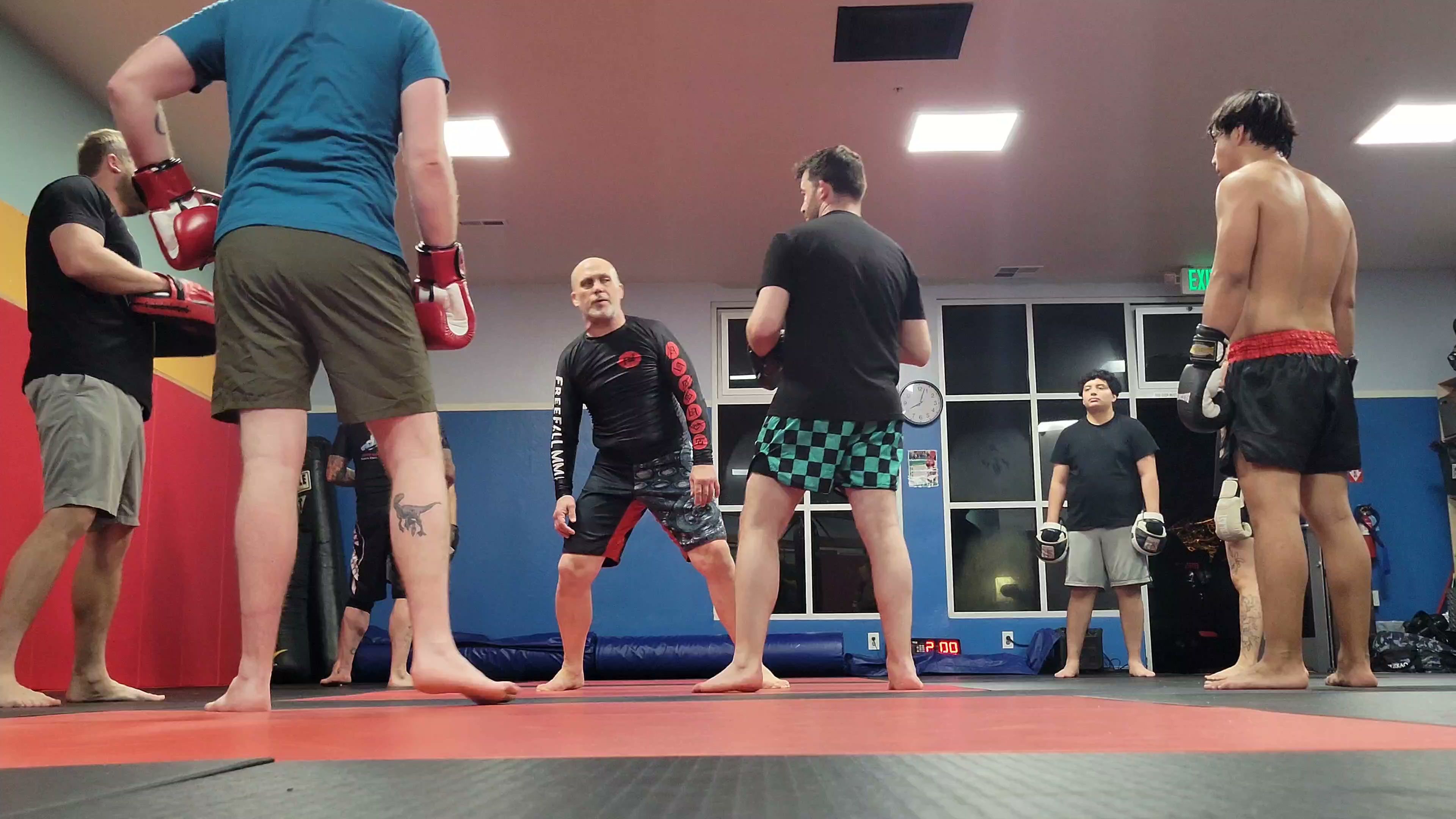 FreeFall MMA photo 8