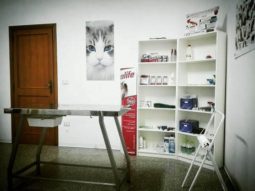 Ambulatorio Veterinario Vaglio (Dott. Piero Luigi e Dott.ssa Ester Bove) - Thumbnail