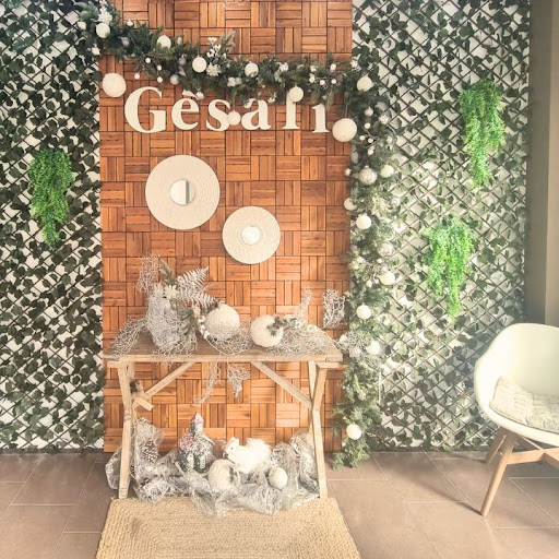 Gesali - Visual