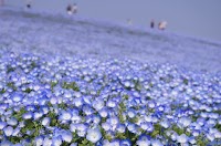 ブルーム動物病院