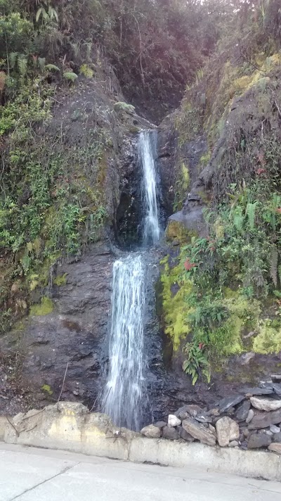 Photos of HOTEL EL PUENTE