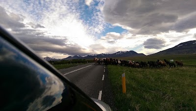 Photos of Sy&eth;ra-Sk&ouml;r&eth;ugil guest house