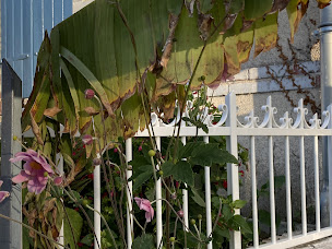 Photo n°3 de ANAST FORGE à Orée d'Anjou (Atelier de métallerie)