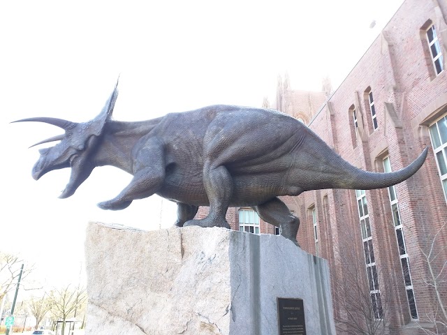 Yale Peabody Museum of Natural History