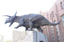 Yale Peabody Museum of Natural History, New Haven, United States