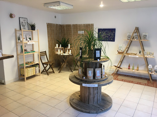 CBD Mutzig PlanèteMère Gallery - France