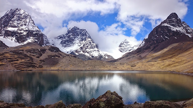 Andean Trails Limited Phone number