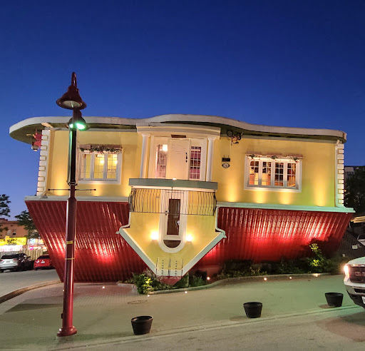 Upside Down House - Thumbnail
