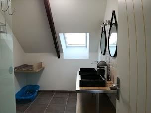 Photo n°31 de Gîte Les Goélands à Ambon (Logement meublé)