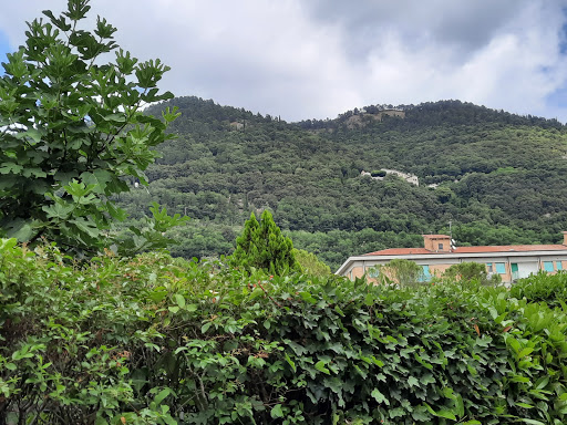 Direzione Didattica 2° Circolo