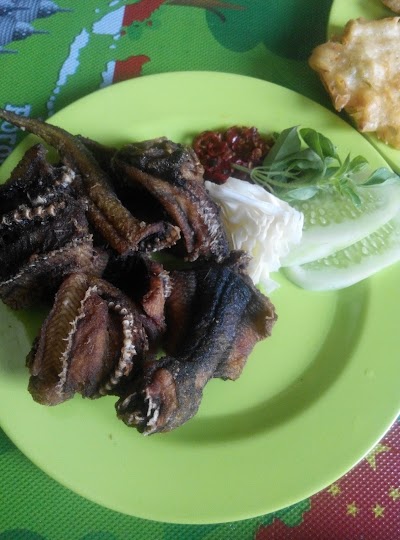 Photos of Omah Welut Undaan