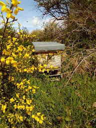 Photo n°28 de Roi Morvan Marché Bio à Le Faouët (Magasin bio)