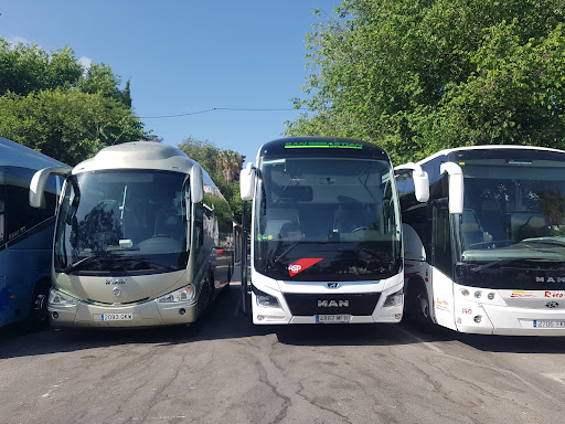 TP Bus Vejer de la Frontera - Thumbnail