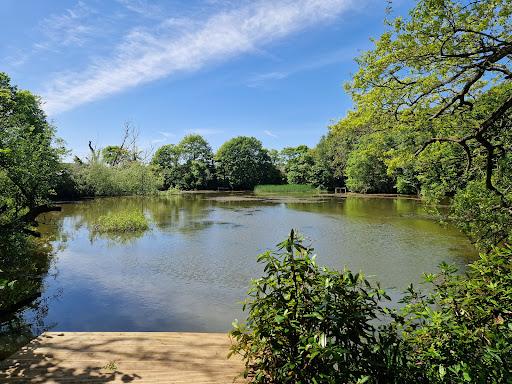 Lytham Hall Gallery - United Kingdom