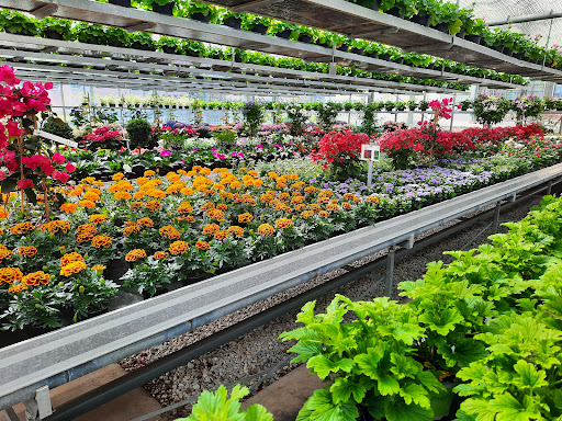 Blumen Meer Gärtnerei & Floristik - Thumbnail