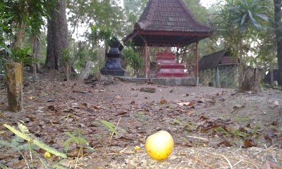 Photos of Makam Islam Desa Pojok, Purwosari, Bojonegoro