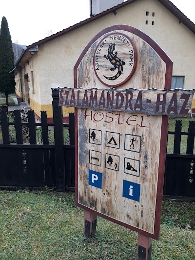 Photos of Salamander House