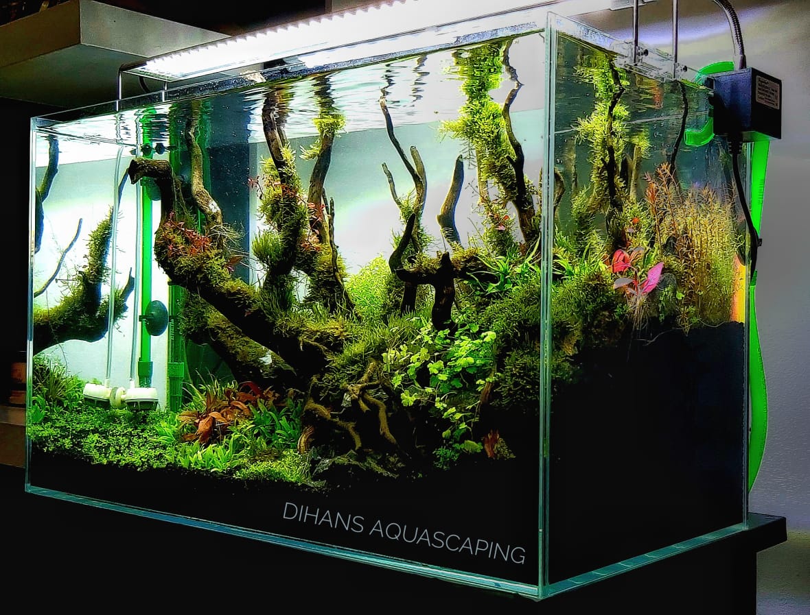 Fragrance Flowers & Aquarium Trading - صورة 2