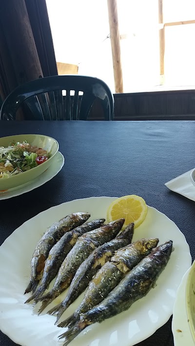Photos of Blue Dolphin