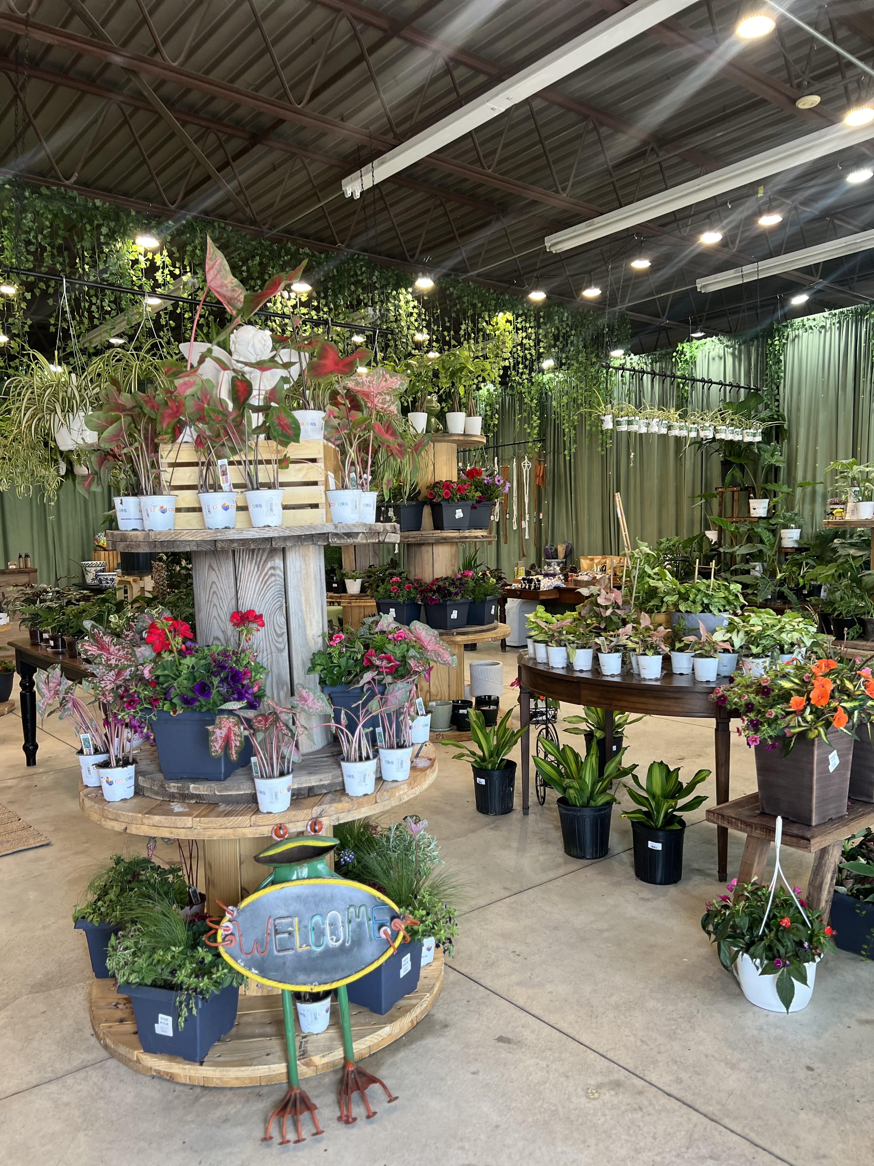 9th Street Plant Shop