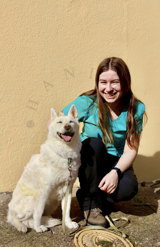 HANIMA Veterinary Clinic