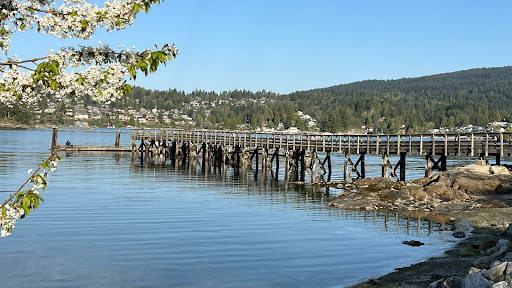 Belcarra Picnic Area - Thumbnail