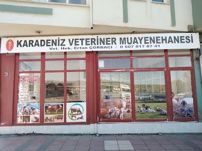 Karadeniz veteriner muaynahanesi