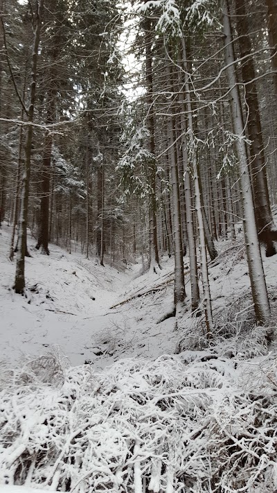 Photos of Am Wald