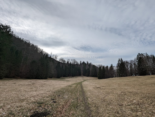 Steinwiese - Visual