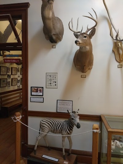 Ravalli County Museum