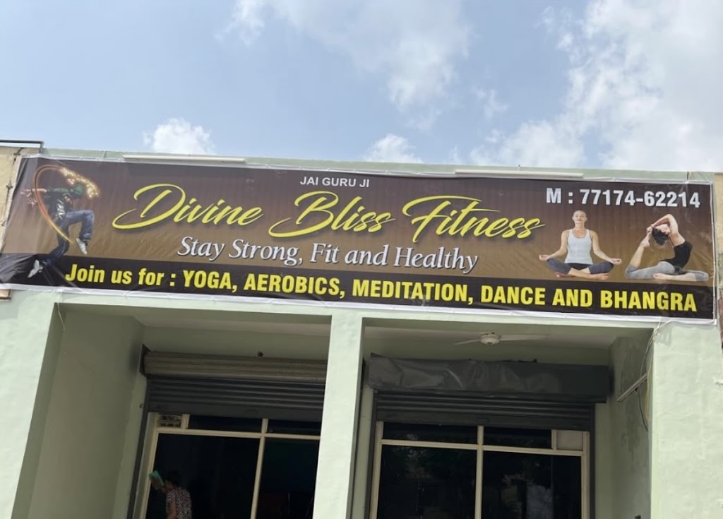 Divine Bliss Fitness