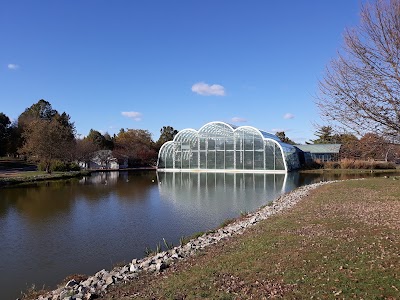 The Butterfly House