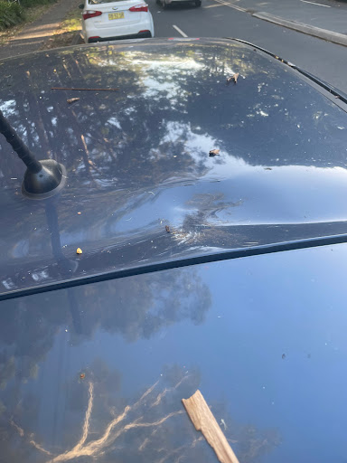 Auto Dent Care | Paintless Dent Removal & Hail Damage Repairs - Thumbnail