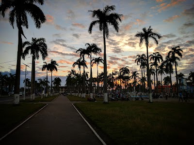 Photos of Hotel H1