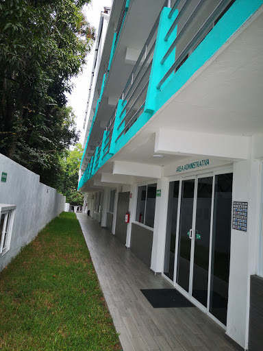 Instituto Alfonso Reyes - Thumbnail
