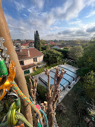 Photo n°5 de L'Envert du Décor élagage à La Salvetat-Saint-Gilles (Service d'élagage)