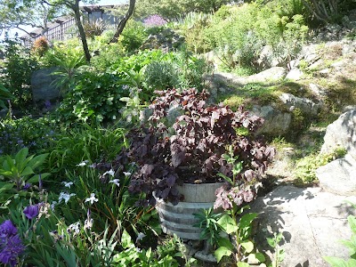 Photos of Fairholme Manor
