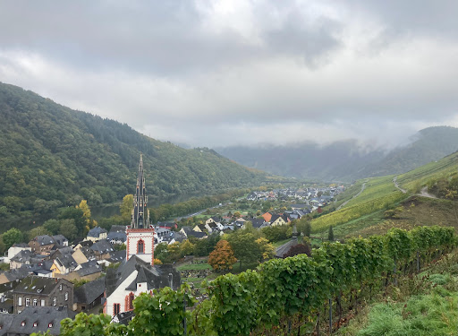 Winery Peter Göbel - Thumbnail