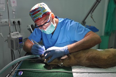 Photos of Estenova Cl&iacute;nica veterinaria