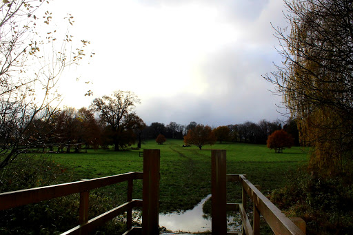 Oaken Drive Field - Thumbnail