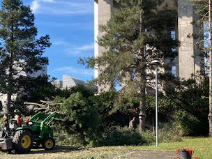 Photo n°7 de Service elagage abattage à Lagny-sur-Marne (Service d'élagage)