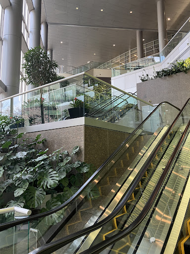 Rosslyn Dental Arts Center - Thumbnail