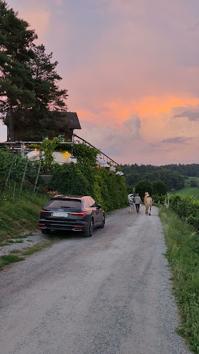 Winzerhaus Telefonnummer